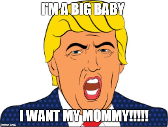 UM | I'M A BIG BABY; I WANT MY MOMMY!!!!! | image tagged in politics | made w/ Imgflip meme maker