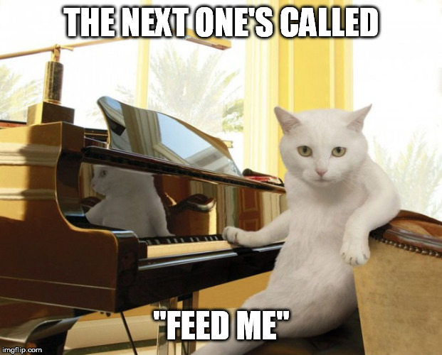 THE NEXT ONE'S CALLED ''FEED ME'' | made w/ Imgflip meme maker