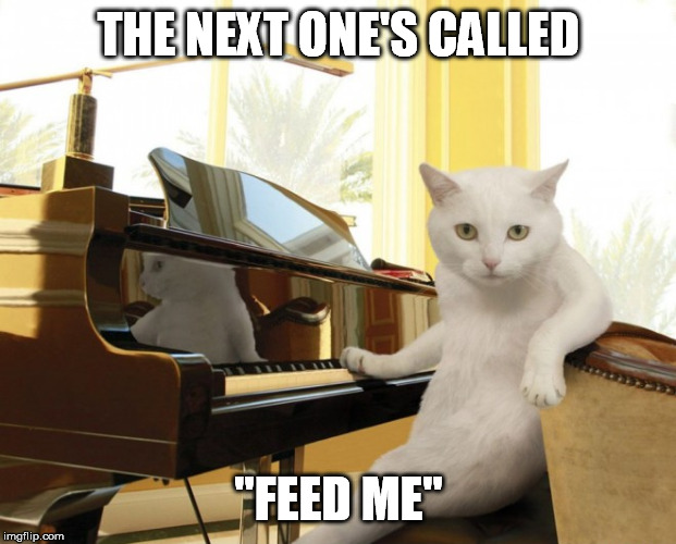 THE NEXT ONE'S CALLED; ''FEED ME'' | image tagged in piano,song,feed me | made w/ Imgflip meme maker