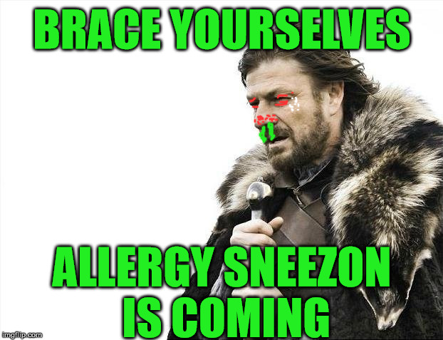 Brace Yourselves X is Coming | BRACE YOURSELVES; ALLERGY SNEEZON    IS COMING | image tagged in memes,brace yourselves x is coming,allergy,sneeze,spring,season | made w/ Imgflip meme maker