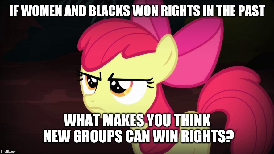 History repeats itself all the time! | IF WOMEN AND BLACKS WON RIGHTS IN THE PAST; WHAT MAKES YOU THINK NEW GROUPS CAN WIN RIGHTS? | image tagged in angry applebloom,memes,equality,politics | made w/ Imgflip meme maker