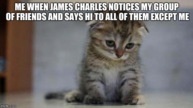 Sad kitten | ME WHEN JAMES CHARLES NOTICES MY GROUP OF FRIENDS AND SAYS HI TO ALL OF THEM EXCEPT ME | image tagged in sad kitten | made w/ Imgflip meme maker
