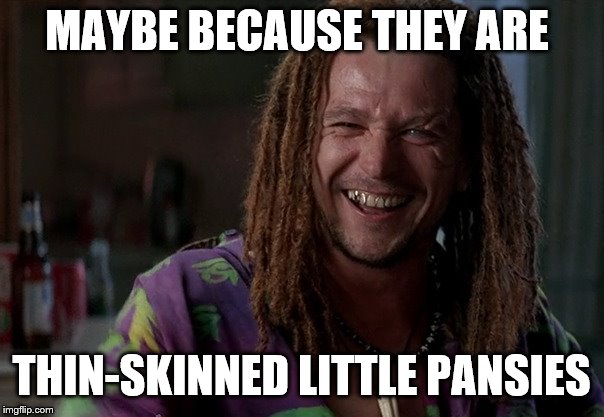 MAYBE BECAUSE THEY ARE THIN-SKINNED LITTLE PANSIES | made w/ Imgflip meme maker