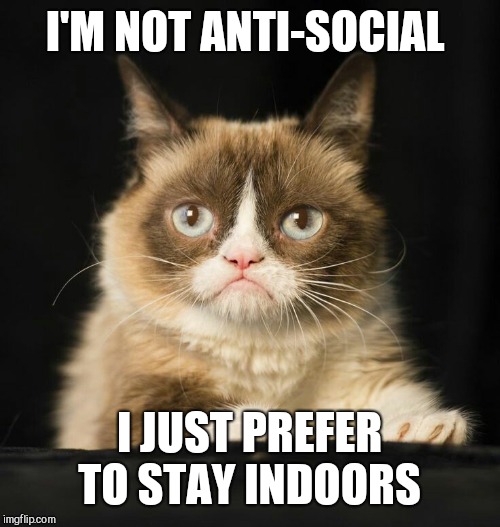 I'M NOT ANTI-SOCIAL; I JUST PREFER TO STAY INDOORS | image tagged in grumpy cat,introverts,hermits | made w/ Imgflip meme maker