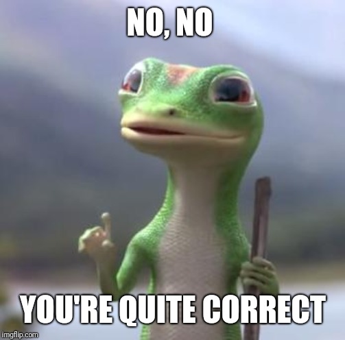 Geico Gecko | NO, NO YOU'RE QUITE CORRECT | image tagged in geico gecko | made w/ Imgflip meme maker
