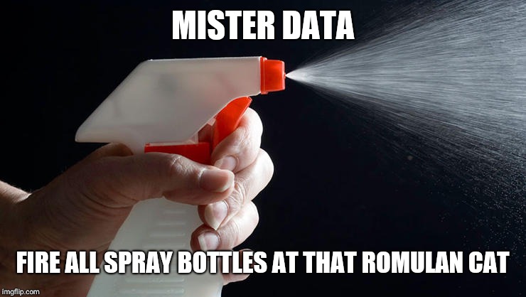 Spray Bottle | MISTER DATA FIRE ALL SPRAY BOTTLES AT THAT ROMULAN CAT | image tagged in spray bottle | made w/ Imgflip meme maker