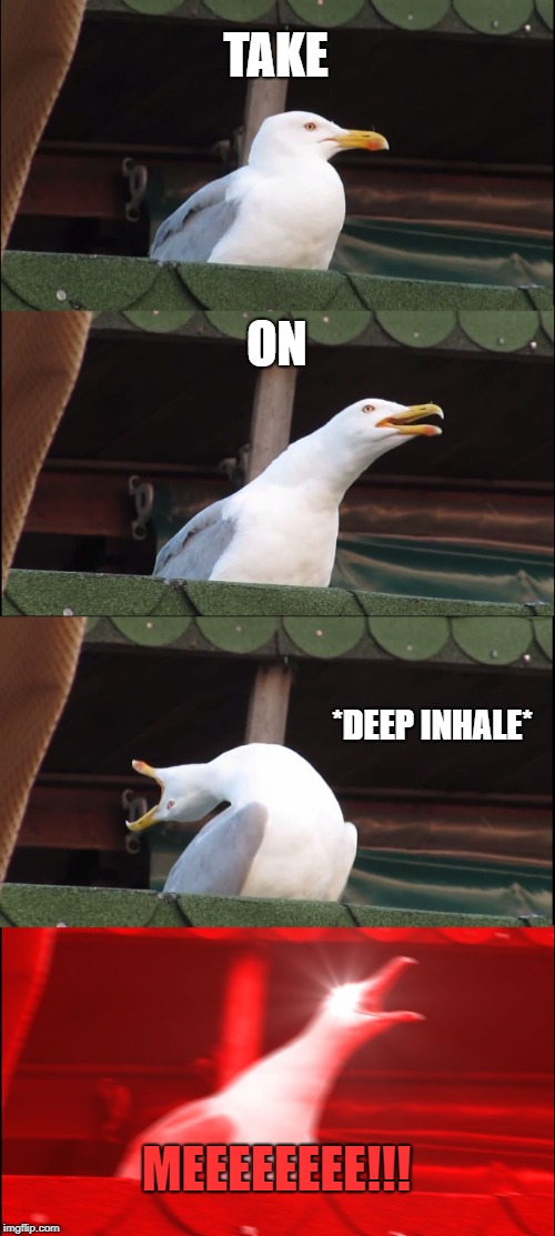 Inhaling Seagull | TAKE; ON; *DEEP INHALE*; MEEEEEEEE!!! | image tagged in memes,inhaling seagull | made w/ Imgflip meme maker