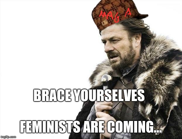 Brace Yourselves X is Coming | BRACE YOURSELVES; FEMINISTS ARE COMING... | image tagged in memes,brace yourselves x is coming | made w/ Imgflip meme maker