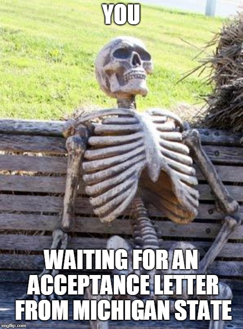 Waiting Skeleton Meme | YOU WAITING FOR AN ACCEPTANCE LETTER FROM MICHIGAN STATE | image tagged in memes,waiting skeleton | made w/ Imgflip meme maker