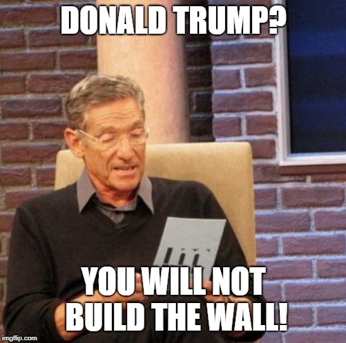 Maury Lie Detector | DONALD TRUMP? YOU WILL NOT BUILD THE WALL! | image tagged in memes,maury lie detector | made w/ Imgflip meme maker