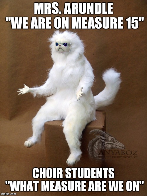 Persian Cat Room Guardian Single Meme | MRS. ARUNDLE "WE ARE ON MEASURE 15"; CHOIR STUDENTS "WHAT MEASURE ARE WE ON" | image tagged in memes,persian cat room guardian single | made w/ Imgflip meme maker