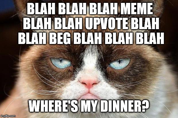 Grumpy Cat Not Amused Meme | BLAH BLAH BLAH MEME BLAH BLAH UPVOTE BLAH BLAH BEG BLAH BLAH BLAH; WHERE'S MY DINNER? | image tagged in memes,grumpy cat not amused,grumpy cat | made w/ Imgflip meme maker