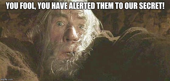 Gandalf Fly You Fools | YOU FOOL, YOU HAVE ALERTED THEM TO OUR SECRET! | image tagged in gandalf fly you fools | made w/ Imgflip meme maker