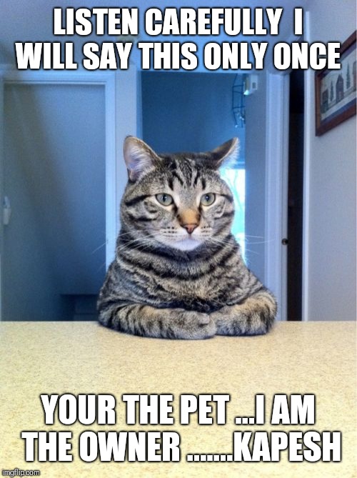 Take A Seat Cat | LISTEN CAREFULLY  I WILL SAY THIS ONLY ONCE; YOUR THE PET ...I AM THE OWNER .......KAPESH | image tagged in memes,take a seat cat | made w/ Imgflip meme maker