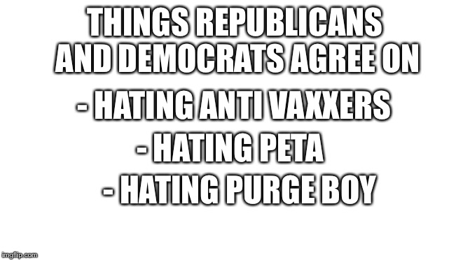 Any others? | THINGS REPUBLICANS AND DEMOCRATS AGREE ON; - HATING ANTI VAXXERS; - HATING PETA; - HATING PURGE BOY | image tagged in starter pack | made w/ Imgflip meme maker
