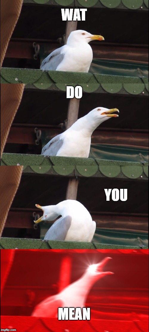 Inhaling Seagull | WAT; DO; YOU; MEAN | image tagged in memes,inhaling seagull | made w/ Imgflip meme maker
