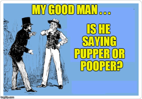 IS HE SAYING PUPPER OR   POOPER? MY GOOD MAN . . . | made w/ Imgflip meme maker