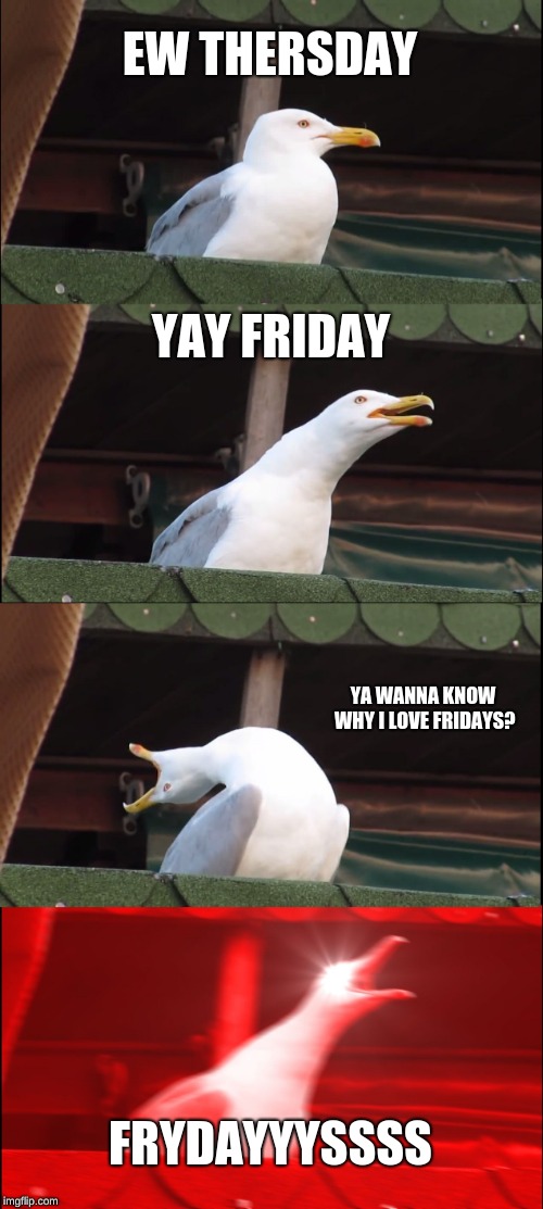 Inhaling Seagull | EW THERSDAY; YAY FRIDAY; YA WANNA KNOW WHY I LOVE FRIDAYS? FRYDAYYYSSSS | image tagged in memes,inhaling seagull | made w/ Imgflip meme maker