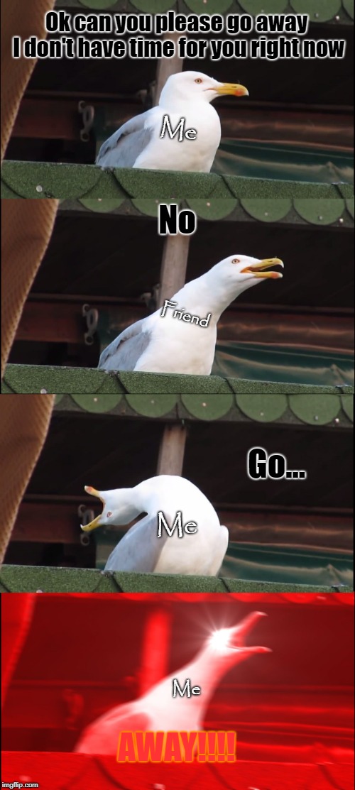 Me talking to my friends in a nutshell | Ok can you please go away I don't have time for you right now; Me; No; Friend; Go... Me; Me; AWAY!!!! | image tagged in memes,inhaling seagull | made w/ Imgflip meme maker