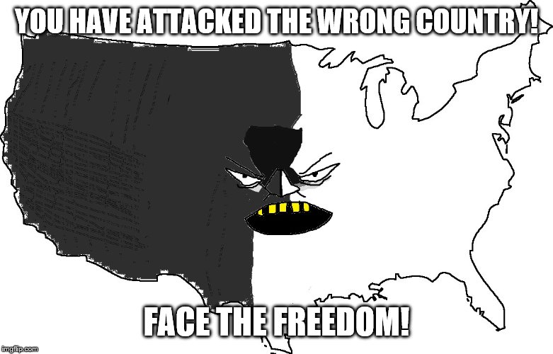 Ultra Serious America | YOU HAVE ATTACKED THE WRONG COUNTRY! FACE THE FREEDOM! | image tagged in ultra serious america | made w/ Imgflip meme maker