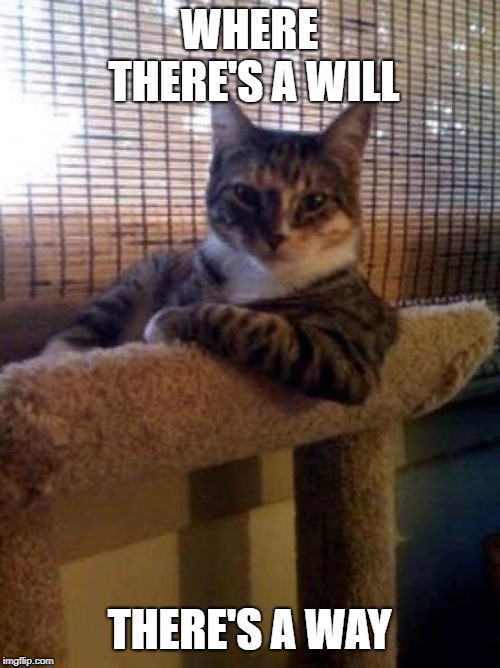 The Most Interesting Cat In The World Meme | WHERE THERE'S A WILL THERE'S A WAY | image tagged in memes,the most interesting cat in the world | made w/ Imgflip meme maker
