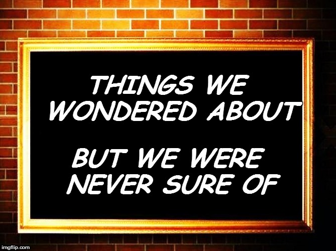 THINGS WE WONDERED ABOUT BUT WE WERE NEVER SURE OF | made w/ Imgflip meme maker