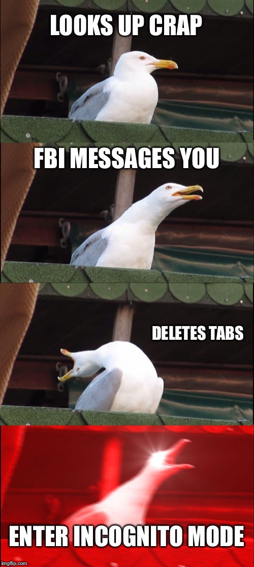 Inhaling Seagull | LOOKS UP CRAP; FBI MESSAGES YOU; DELETES TABS; ENTER INCOGNITO MODE | image tagged in memes,inhaling seagull | made w/ Imgflip meme maker