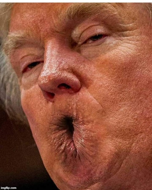 trump butthole mouth | . | image tagged in trump butthole mouth | made w/ Imgflip meme maker