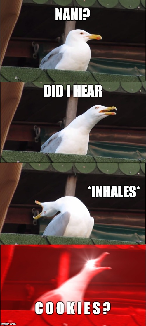 Inhaling Seagull Meme | NANI? DID I HEAR *INHALES* C O O K I E S ? | image tagged in memes,inhaling seagull | made w/ Imgflip meme maker