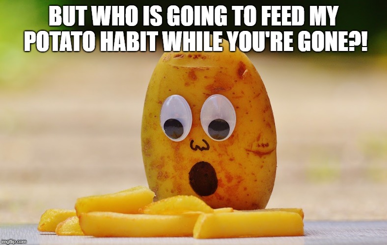 Back in a jiffy Imgflip