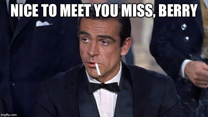 James Bond | NICE TO MEET YOU MISS, BERRY | image tagged in james bond | made w/ Imgflip meme maker