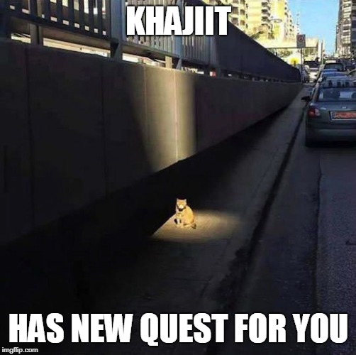 NEW QUEST! | KHAJIIT; HAS NEW QUEST FOR YOU | image tagged in holy cat,khajiit,cat | made w/ Imgflip meme maker