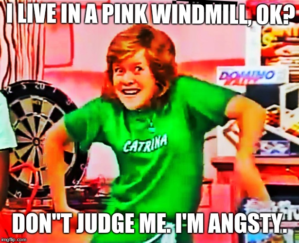My name's catrina | I LIVE IN A PINK WINDMILL, OK? DON"T JUDGE ME. I'M ANGSTY. | image tagged in funny,kids,tv shows | made w/ Imgflip meme maker