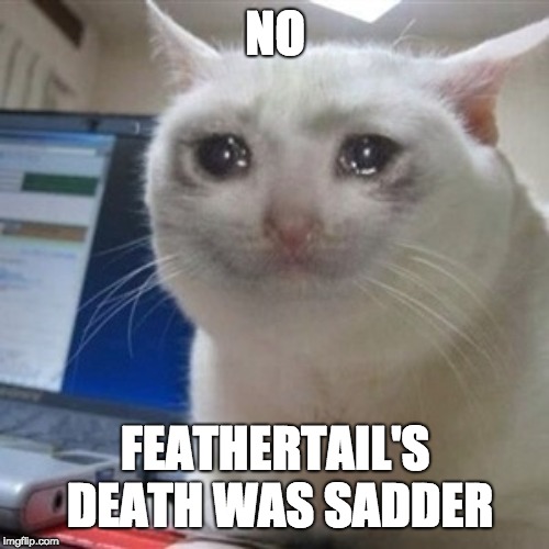 Crying cat | NO FEATHERTAIL'S DEATH WAS SADDER | image tagged in crying cat | made w/ Imgflip meme maker
