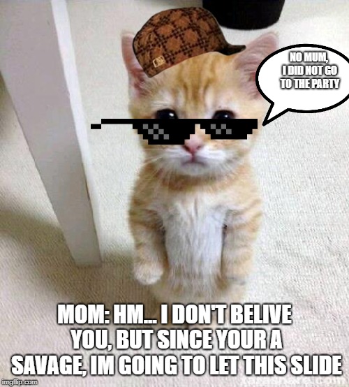 Savage cat | NO MUM, I DID NOT GO TO THE PARTY; MOM: HM... I DON'T BELIVE YOU, BUT SINCE YOUR A SAVAGE, IM GOING TO LET THIS SLIDE | image tagged in memes,cute cat | made w/ Imgflip meme maker