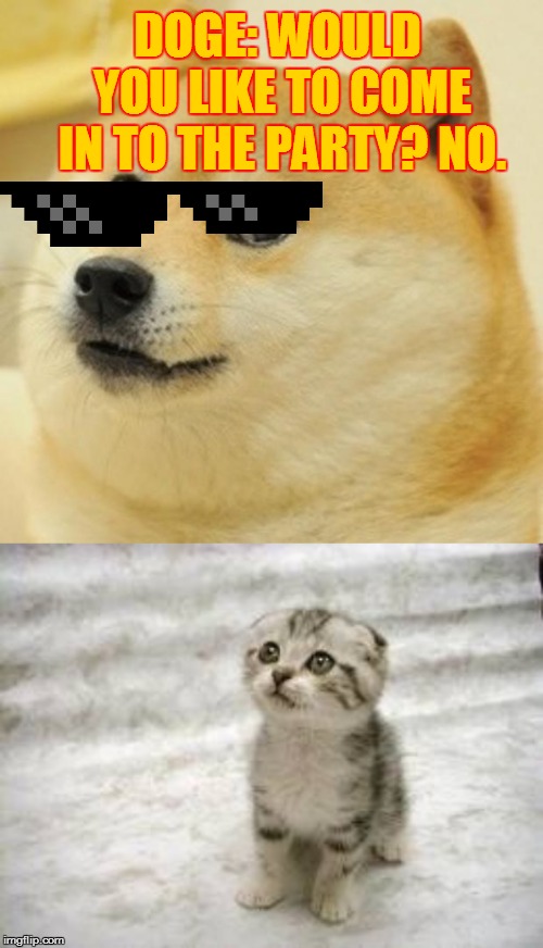 DOGE: WOULD YOU LIKE TO COME IN TO THE PARTY? NO. | image tagged in memes,sad cat,doge | made w/ Imgflip meme maker