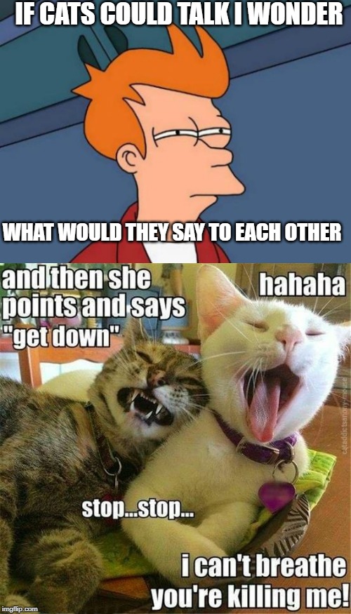 cat meme "if they talked" | IF CATS COULD TALK I WONDER; WHAT WOULD THEY SAY TO EACH OTHER | image tagged in memes,futurama fry,cats,funny cats | made w/ Imgflip meme maker