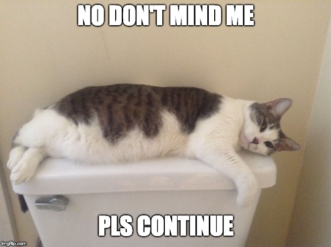 Toilet Cat | NO DON'T MIND ME; PLS CONTINUE | image tagged in toilet cat | made w/ Imgflip meme maker