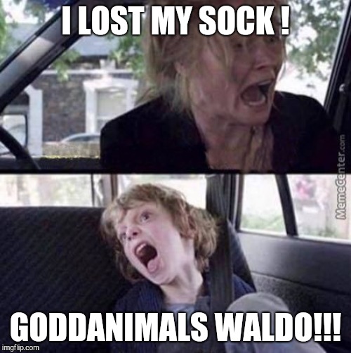 Me losing socks... I need a life  | I LOST MY SOCK ! GODDANIMALS WALDO!!! | image tagged in why can't you just be normal blank | made w/ Imgflip meme maker