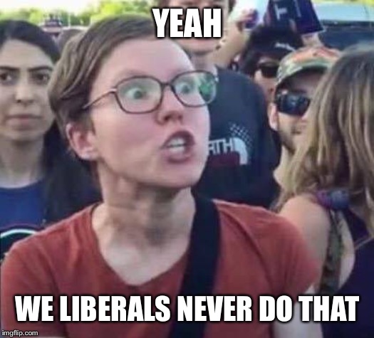 Angry Liberal | YEAH WE LIBERALS NEVER DO THAT | image tagged in angry liberal | made w/ Imgflip meme maker
