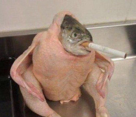 High Quality chicken fish cigarette of course Blank Meme Template