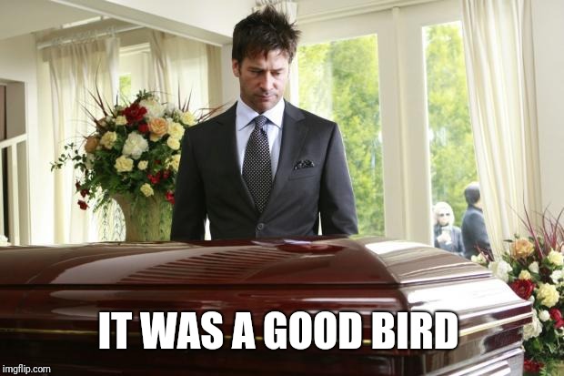 funeral | IT WAS A GOOD BIRD | image tagged in funeral | made w/ Imgflip meme maker