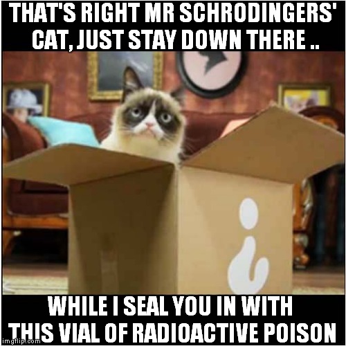 Dr Grumpy, The 'Evil' Scientist | THAT'S RIGHT MR SCHRODINGERS' CAT, JUST STAY DOWN THERE .. WHILE I SEAL YOU IN WITH THIS VIAL OF RADIOACTIVE POISON | image tagged in cats,grumpy cat,scientist | made w/ Imgflip meme maker