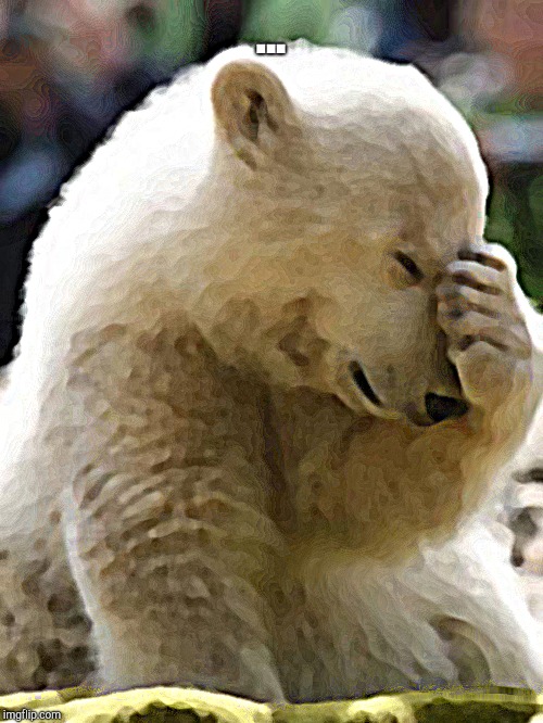 Facepalm Bear Meme | ... | image tagged in memes,facepalm bear | made w/ Imgflip meme maker