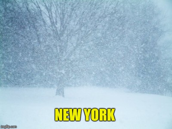 Blizzard | NEW YORK | image tagged in blizzard | made w/ Imgflip meme maker
