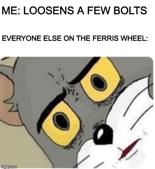 Everyone is using this, so i'm using it too | ME: LOOSENS A FEW BOLTS; EVERYONE ELSE ON THE FERRIS WHEEL: | image tagged in tom and jerry | made w/ Imgflip meme maker