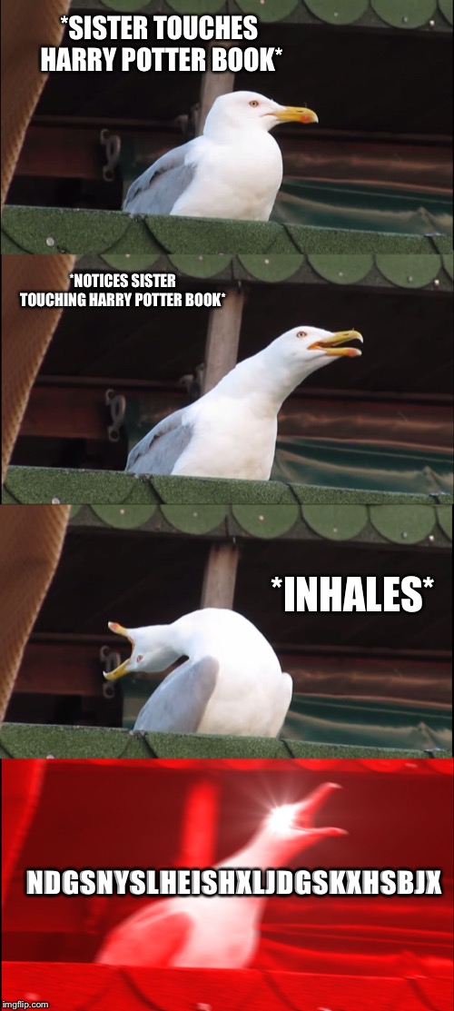Inhaling Seagull Meme | *SISTER TOUCHES HARRY POTTER BOOK*; *NOTICES SISTER TOUCHING HARRY POTTER BOOK*; *INHALES*; NDGSNYSLHEISHXLJDGSKXHSBJX | image tagged in memes,inhaling seagull | made w/ Imgflip meme maker