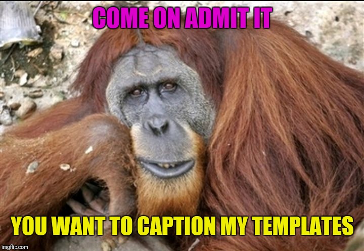 44colt's Meme Template Challenge March 18-24 (A 44colt event) Info in comments below! | COME ON ADMIT IT; YOU WANT TO CAPTION MY TEMPLATES | image tagged in creepy condescending monkey,44colt's meme template challenge,memes,creepy condescending wonka | made w/ Imgflip meme maker