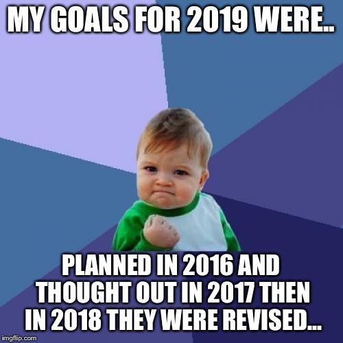 Success Kid Meme | MY GOALS FOR 2019 WERE.. PLANNED IN 2016 AND THOUGHT OUT IN 2017 THEN IN 2018 THEY WERE REVISED... | image tagged in memes,success kid | made w/ Imgflip meme maker
