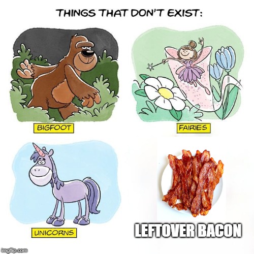 Things That Don't Exist | LEFTOVER BACON | image tagged in things that don't exist | made w/ Imgflip meme maker